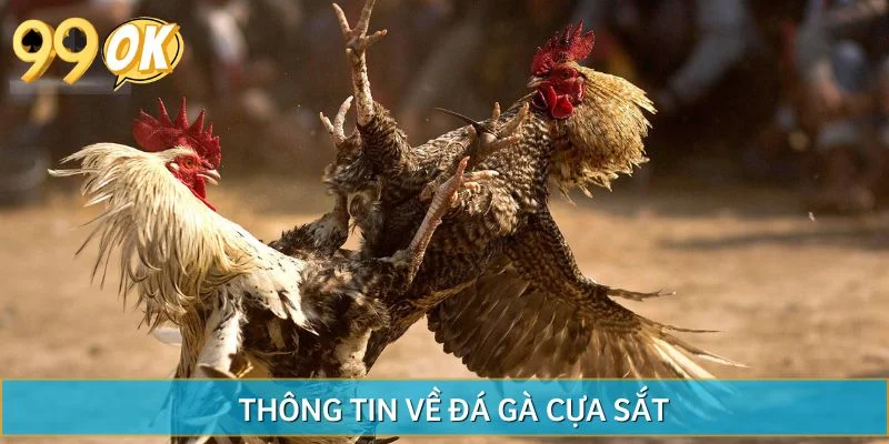 Thông tin về đá gà cựa sắt