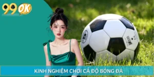 Kinh Nghiệm Chơi Cá Độ Bóng Đá Năm 2025 Cho Tân Binh