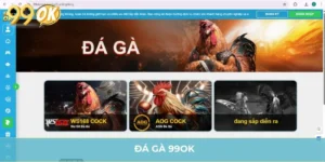 Đá Gà 99OK - Nơi Hội Tụ Các Chiến Kê Lừng Lẫy 5 Châu
