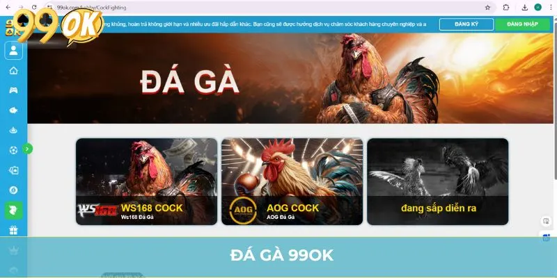 Đá Gà 99OK - Nơi Hội Tụ Các Chiến Kê Lừng Lẫy 5 Châu
